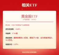 紫金矿业：公司的愿景是“全球主要的绿色矿物